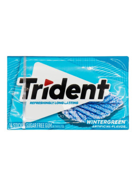 Chiclete Importado Trident Wintergreen