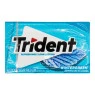 Chiclete Importado Trident Wintergreen